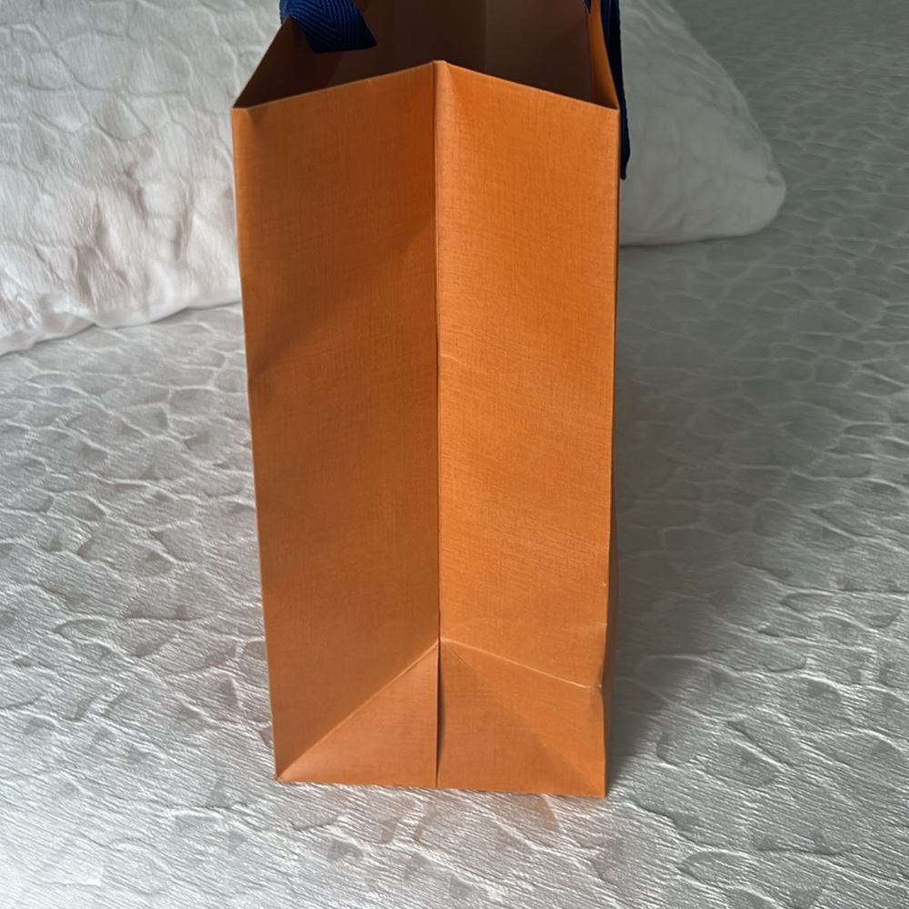 LOUIS VUITTON  Gift Bag - Picture 3 of 6